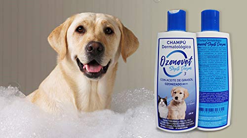 Ozonovet Septiderm CHAMPU actúa en Dermatitis con Problemas de infecciones por levaduras, Hongos y bacterias además de afecciones de hipersensibilidad, alergia, atopia y Dermatitis seborreica.