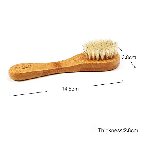 P Prettyia 5 Pcs Set de Cepillos de Cuerpo para Eliminar Celulas Muertas de Pieles Comodo