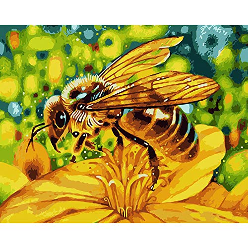 Paint by Number Kit De Pintura Al Óleo por Número para Niños Adultos Principiantes De 40 X 50 Cm Diseño De Dibujo con Pinceles Decoración De Navidad Regalos -Abeja(Sin Marco)