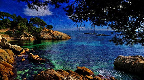 Paint By Numbers Set Decoración del hogar Castell-Platja D'Aro Costa Brava Paint By Numbers Para Junior Diy Para Adultos 40X50CM Sin marco