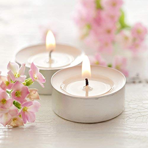 Pajoma - Velas de té sin Perfume, 100 Unidades, Tiempo de combustión: 8 Horas. Velas de té Gastro.