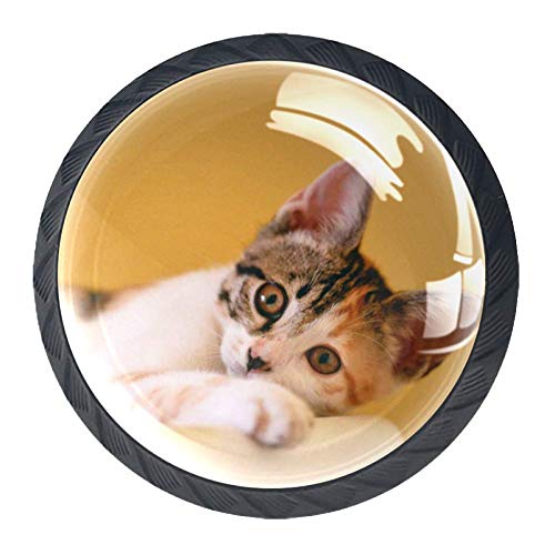 para cajones de la cómoda Oficina en el hogar Cocina Armario Puerta Perillas del gabinete Gato Animal Amarillo Lindo Pájaros de vidrio Cajón Tiradores Manija Armario Herrajes