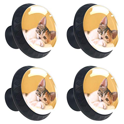 para cajones de la cómoda Oficina en el hogar Cocina Armario Puerta Perillas del gabinete Gato Animal Amarillo Lindo Pájaros de vidrio Cajón Tiradores Manija Armario Herrajes