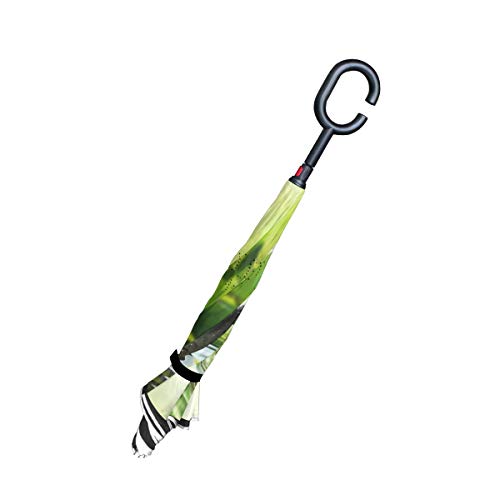 Paraguas invertido de doble capa, piedras de spa en jardín con flujo de agua anti-UV a prueba de viento paraguas de viaje con mango en forma de C