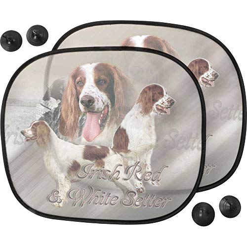 Pare Soleil - Coche de Setter Irlandés rojo y blanco