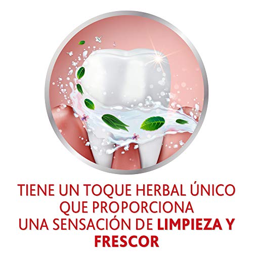 Parodontax Original Pasta de dientes que ayuda a detener y prevenir el sangrado de encías, sabor Menta y Jengibre - 75 ml