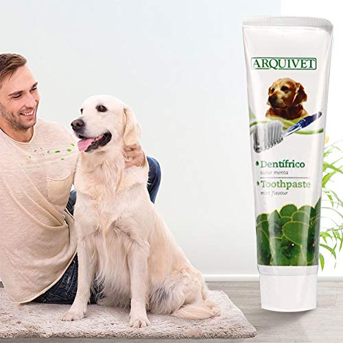 Pasta Dental Perros, Dog Toothpaste, Cepillo de Dientes para Perro, Cuidado Dental para Perros y Gatos, Mejorar la Higiene Oral Previene la Enfermedad de Las Encías y la Placa, Refrescar el Aliento