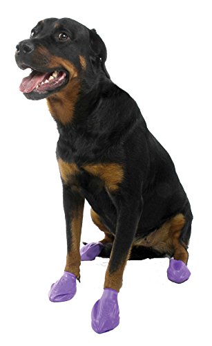Pawz Dog Boots Botitas de Goma para Perros de Tamaño Grande - 12 Botitas