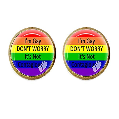 Pendientes de Orgullo Gay, joyería del mismo sexo LGBT, orgullo gay lesbiano con amor arco iris gana regalo, matrimonio igual