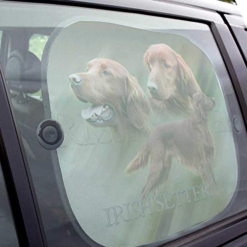 Pets-easy - Parasol para perro, coche de setter irlandés, color rojo