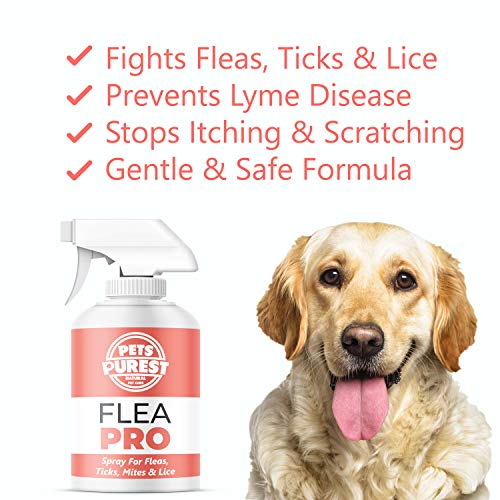 Pets Purest 100% natural de la pulga spray para los perros (500 ml) de pulgas ácaros y piojos Tick spray para perros, gatos y mascotas. Deje de su mascota El prurito y el rascado. Fórmula Cruelty Free