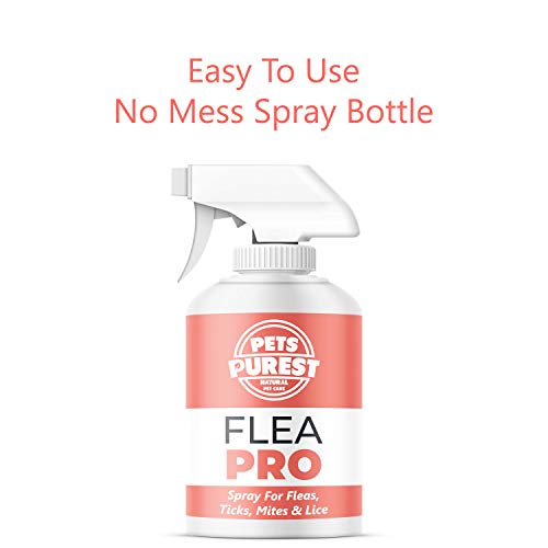 Pets Purest 100% natural de la pulga spray para los perros (500 ml) de pulgas ácaros y piojos Tick spray para perros, gatos y mascotas. Deje de su mascota El prurito y el rascado. Fórmula Cruelty Free