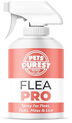 Pets Purest 100% natural de la pulga spray para los perros (500 ml) de pulgas ácaros y piojos Tick spray para perros, gatos y mascotas. Deje de su mascota El prurito y el rascado. Fórmula Cruelty Free