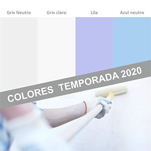 PINTURA DE PAREDES PROFESIONAL, 1ª CALIDAD. Totalmente Lavable, Pintura Ecológica, Pintura Plástica Supercubriente, Acabado Mate. No Salpica. Pintura de Colores. (6 KG, Gris claro)