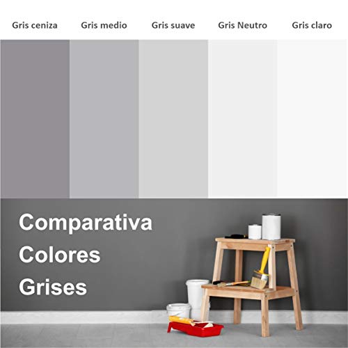 PINTURA DE PAREDES PROFESIONAL, 1ª CALIDAD. Totalmente Lavable, Pintura Ecológica, Pintura Plástica Supercubriente, Acabado Mate. No Salpica. Pintura de Colores. (6 KG, Gris claro)