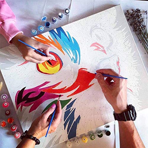 Pintura por Numeros Pintura por Número De Kits DIY Pintura para Adultos Niños 40 X 50 Cm -Diseño De Lona Profesional para Bricolaje Pintura Al Óleo -Delfín(Sin Marco)
