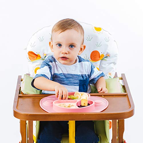 Plato Bebé Con Ventosa - Vajilla de Silicona Alimentaria - Mantel Antideslizante Para Trona - 3 Compartimentos Papilla – Niños 6-18 Meses – Apto Para Lavavajillas Y Microondas (Rosa)