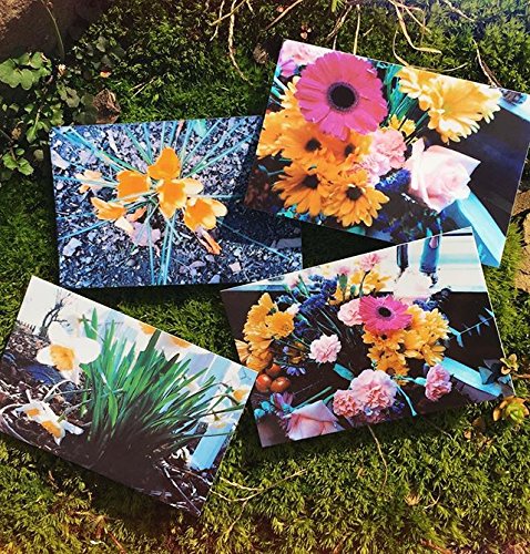 Polaroid Premium ZINK Paper Papel fotográfico 2 x 3'', 50 Hojas