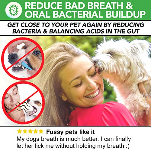 Polvo Para Eliminación de Sarro y Placa Para Perros, Cachorros y Gatos | 100% Natural para Animales | Plaque Clean | 100g | Limpia y Cuida Dientes Blancos y Encías | Ayuda Contra el Mal Aliento