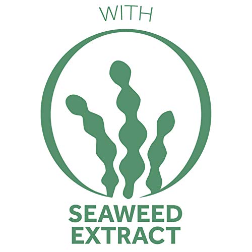 Pond's Nourishing Moisturizing Cream, Crema S 14.1 oz by Pond's