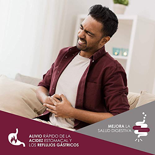 Potente antiácido y antirreflujo estomacal | Inhibe el ácido gástrico y protege el estómago | Mejora la salud del sistema digestivo | Alivio rápido y duradero | 60 masticables sabor frutos rojos