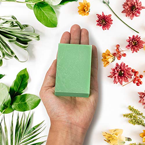 PraNaturals Jabones del Mar Muerto - 70g Por Jabón - Colección Infusión Oceánica, Naturalmente Ricos en Minerales del Mar Muerto, El Set Incluye Jabón de Cáñamo, Jabón de Oliva y Jabón de Granada