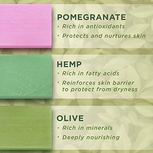 PraNaturals Jabones del Mar Muerto - 70g Por Jabón - Colección Infusión Oceánica, Naturalmente Ricos en Minerales del Mar Muerto, El Set Incluye Jabón de Cáñamo, Jabón de Oliva y Jabón de Granada