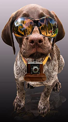 Premium Photo Expert – Fotomontajes, Efectos Fotograficos + Editor de Fotos