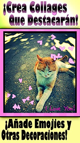 Premium Photo Expert – Fotomontajes, Efectos Fotograficos + Editor de Fotos