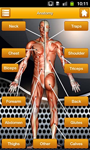 Profitness Trainer iAppndroid for Gym & Home