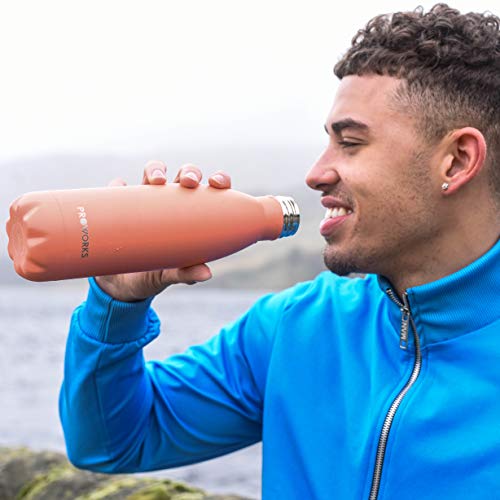 Proworks Botellas de Agua Deportiva de Acero Inoxidable | Cantimplora Termo con Doble Aislamiento para 12 Horas de Bebida Caliente y 24 Horas de Bebida Fría - Libre de BPA - 500ml – Melocotón