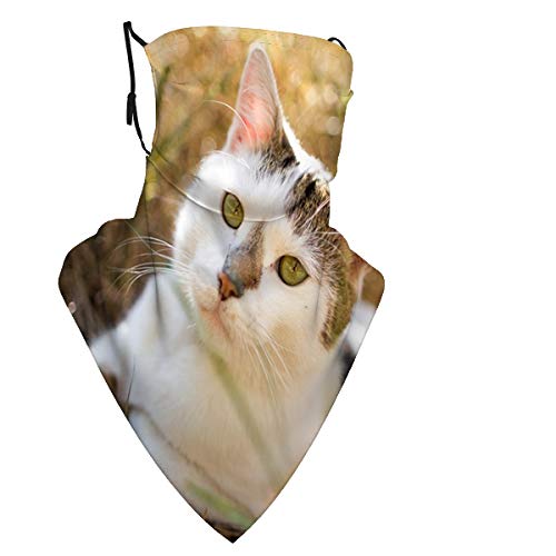 Puilkfgt Cat Grass Sitting Spotted Opinion Expectation x Neck Gaiter Magic Face Cover Dust Wind Bandana Balaclava for Fishing Hiking