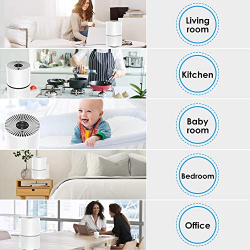 Purificador de Aire 4 en 1 para Hogar Oficina, con Filtro HEPA y Carbón Activado,Generador de Iones /Función de Aromaterapia y Temporizador Captura Alergias, Polvo, Humo, Caspa de Mascotas,Olor, PM2.5