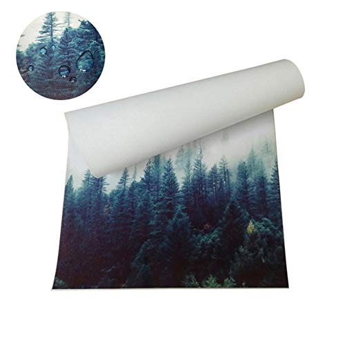 QQDSB Doctor Who Programa de televisión fantasía Cartel Promocional Cartel de Arte de Pared Lienzo Pintura decoración del hogar imágenes Impresas en Lienzo -20x28 Pulgadas sin Marco 1 Piezas