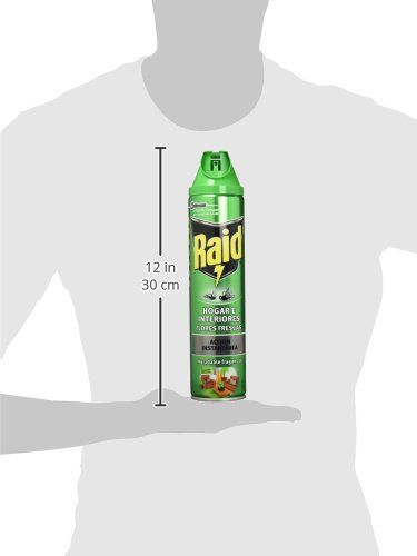 Raid - Hogar E Interiores, 600 ml - [Pack de 3]