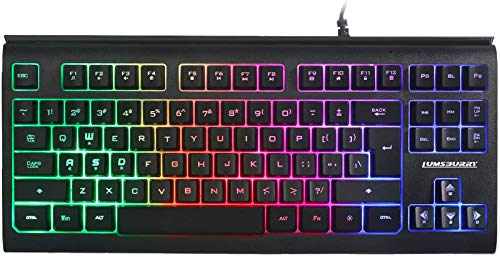 Rainbow - Teclado retroiluminado con luz LED de 87 teclas para juegos, teclado compacto con 12 teclas de acceso directo multimedia, teclado USB con cable para PC Gamers Office