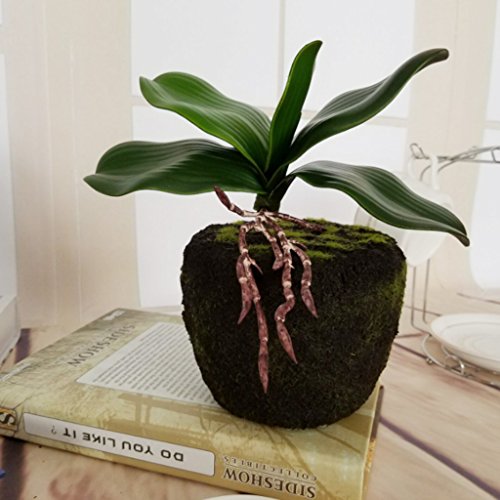 Rama de Hojas Verdes de Orquídea Artificial Decoración de Boda de Casa de Fiesta - B