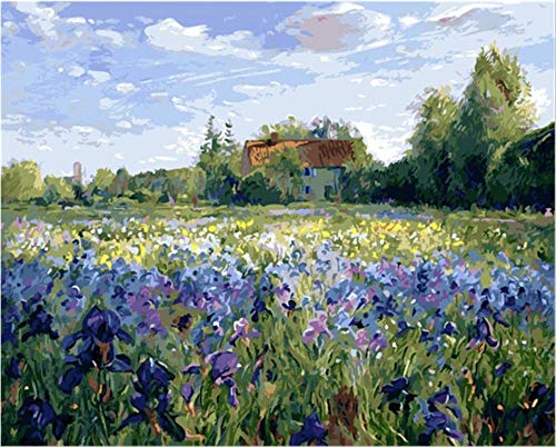 Regalo de Pintura al óleo para Adultospintada a mano de pintura alCampo de lavanda- （40x50cm） -Marco de madera