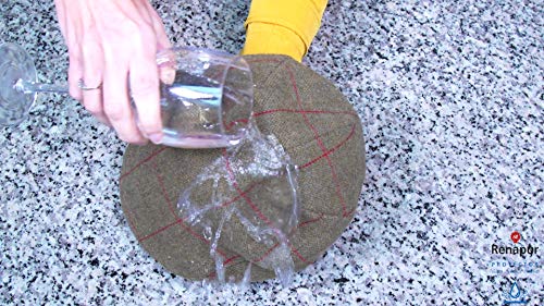 Renapur Protector para Ante y Tela 250ml: Impermeabiliza y protege el ante, nobuck, tela, algodón, zapatos, zapatillas, botas y mucho más