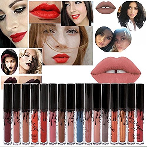 Richoose 16 Colores Set Líquido Maquillaje Líquido Maquillaje Lápiz Mate Lápiz labial Brillo Labial Super Larga duración (16 piezas)