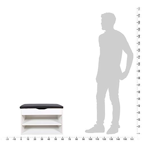 RICOO WM032-W-A, Banco Zapatero, 60x42x30cm, Armario Interior con Asiento, Organizador Zapatos, Mueble recibidor, Perchero Entrada, Madera Blanco