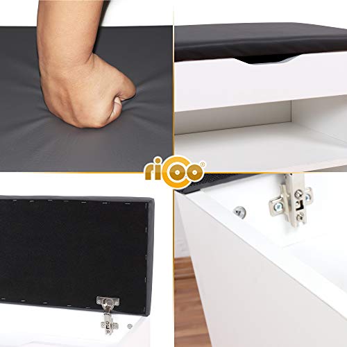 RICOO WM032-W-A, Banco Zapatero, 60x42x30cm, Armario Interior con Asiento, Organizador Zapatos, Mueble recibidor, Perchero Entrada, Madera Blanco