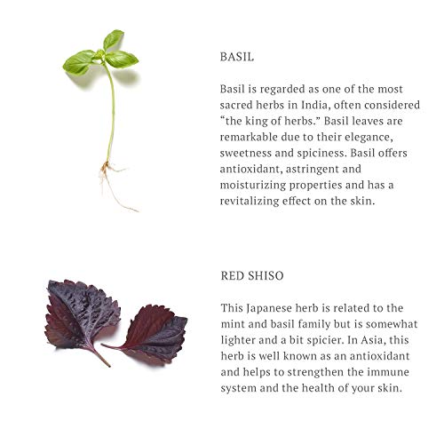 RITUALS The Ritual of Samurai Bálsamo para después del Afeitado, 100 ml