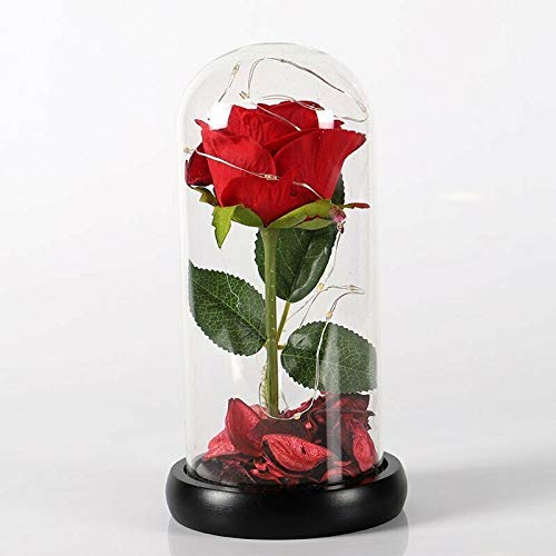 Rosa eterna en cúpula de cristal, rosa preservada en cúpula modelo La Bella y la Bestia, con luz led; regalo para el Día de la Madre, cumpleaños, bodas, aniversarios