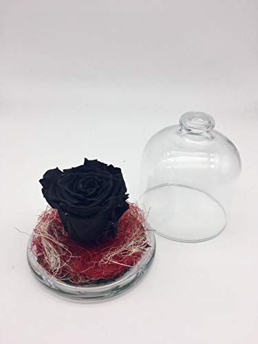 Rosa eterna Negra. Gratis TU ENVÍO. Rosa preservada Negra en Mini Campana de Cristal sobre Verdes preservados y sisal. Hecho en España.