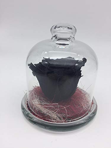 Rosa eterna Negra. Gratis TU ENVÍO. Rosa preservada Negra en Mini Campana de Cristal sobre Verdes preservados y sisal. Hecho en España.