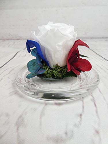 Rosa preservada Bandera Francia - Flores de Jacqueline Valencia