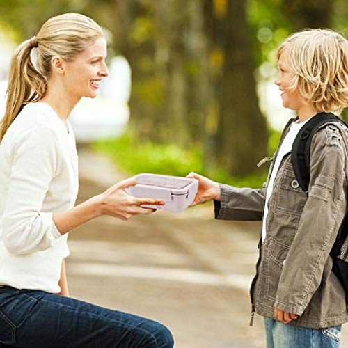 ROVLAK Fiambrera Niños Ecologica Caja de Almuerzo Portatil con 2 Compartimentos Fiambrera Hermetica con Cubiertos BPA-Free No-Tóxico 850ML Caja de Almuerzo para Adultos y Niños, Beige