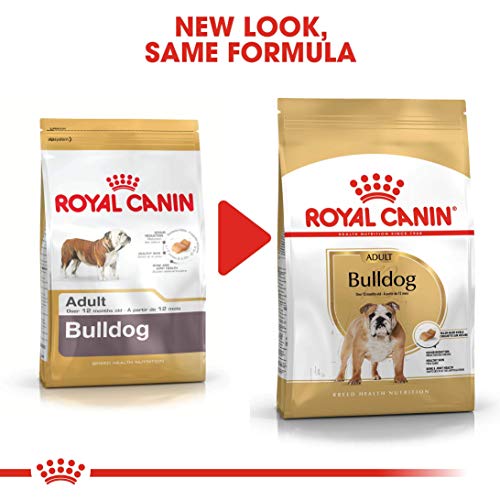 Royal Canin C-08935 S.H. Nut Bulldog 24 - 12 Kg
