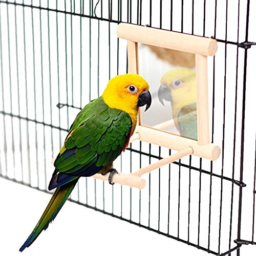 Sahgsa Columpio de pájaro Budgie Cockatiel Jaula Hamaca Columpio Juguete Colgante con Espejo y Gancho para pájaro